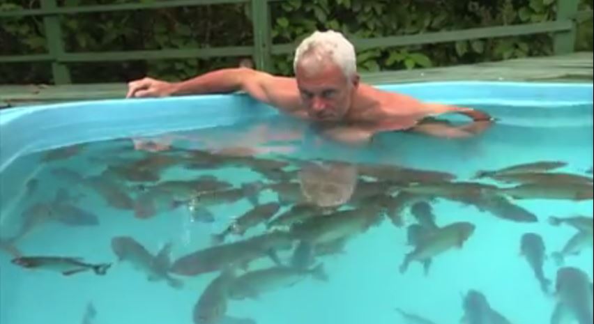Homem entra em piscina cheia de piranhas