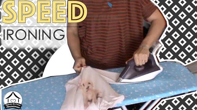 Speed ironing: vem passar roupa comigo – motivação