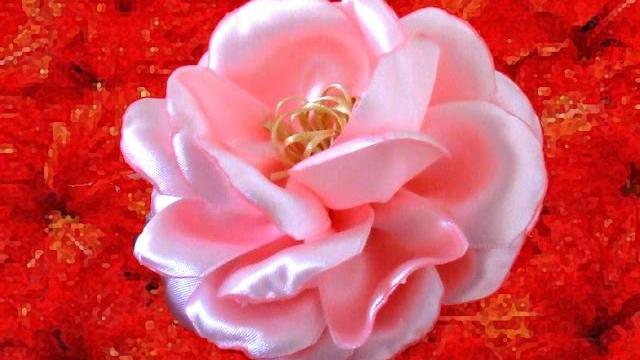 Lindas rosas semi – naturais feitas de fita