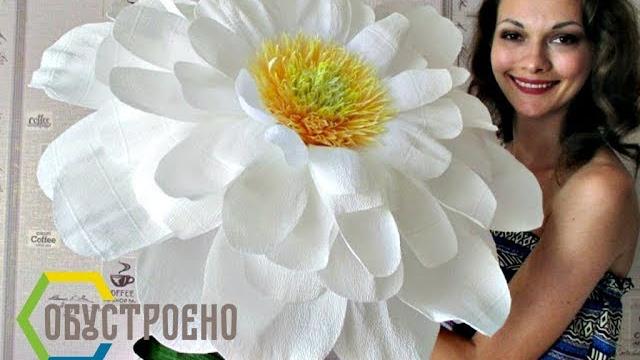 Flores gigantes – Margarida de papel crepe – Parte 1