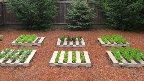 Veja o que fazer com Pallets usados no seu jardim – Você vai se surpreender