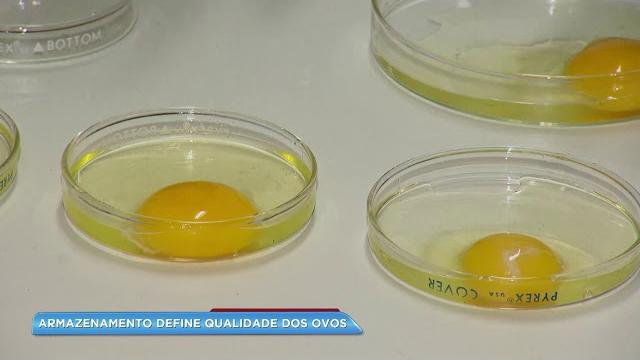 Desvende o boato que o Brasil está importando ovos da China