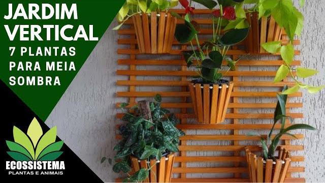 7 plantas para jardins verticais para ser cultivada a meia sombra |  Cantinho do Video