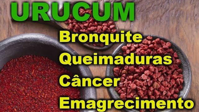 Descubra os Beneficios do Urucum