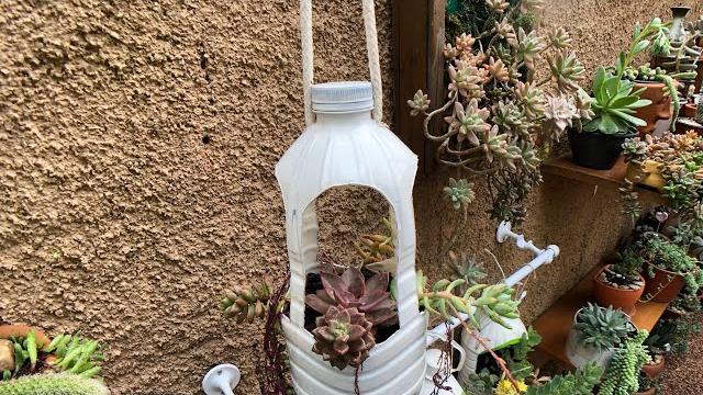 SUCULENTAS – Vaso reciclável PERFEITO para deixar na CHUVA