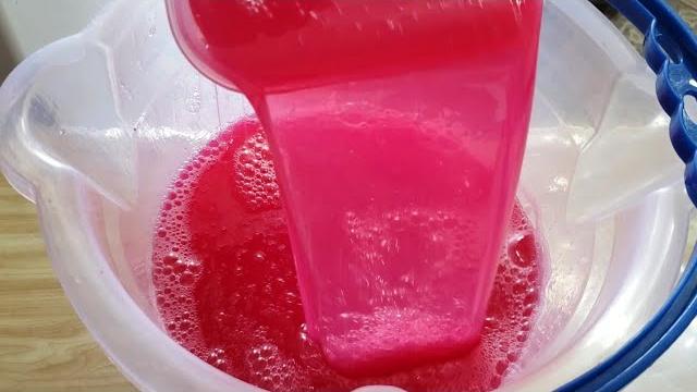 Detergente de Maçã Usando Gelatina – Fácil e Espuma Muito