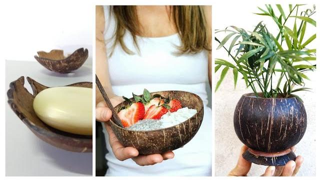 5 Coisas Bacanas que Você Pode Fazer com Casca de Coco
