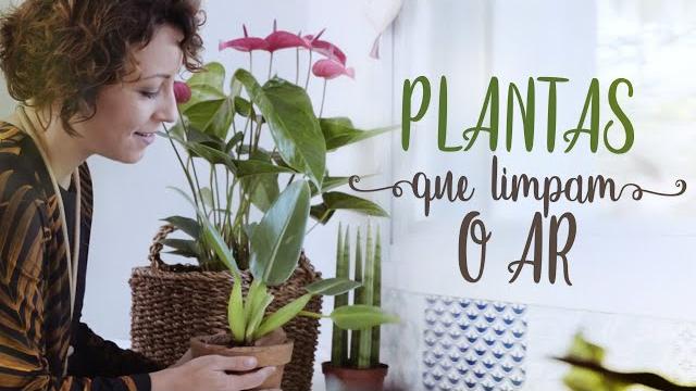 Plantas em Todos os Cômodos da Casa – Sala, Quarto e Cozinha