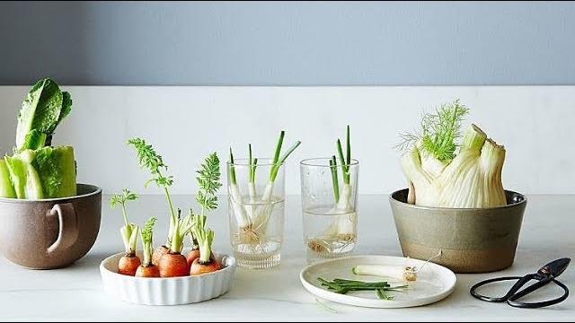 14 Vegetais e Frutas Que Você Pode Plantar e Replantar Dentro de Sua Casa ou Jardim