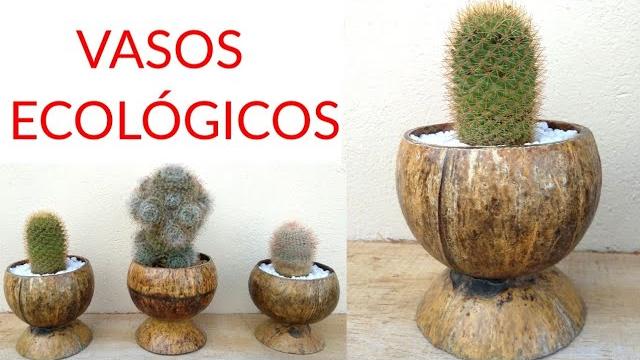 Vasos Sustentáveis Feito de Casca de Coco – Lindos e Ecológicos