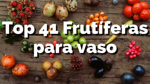 41 Árvores Frutíferas que Podem Plantar em Vasos
