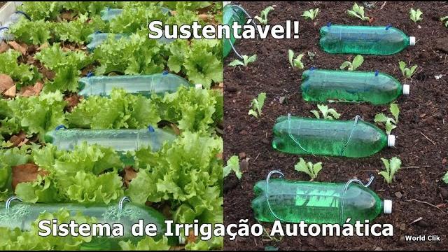 Sistema De Irrigação Automático Sustentável Para Horta