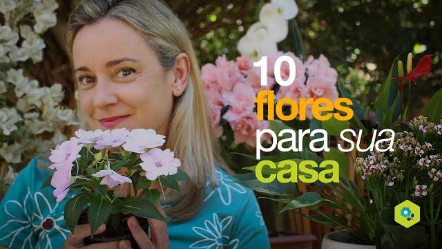 10 Flores Ótimas Para Sua Casa