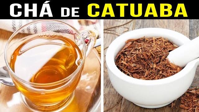 Conheça Todos Os Benefícios do Famoso Chá de Catuaba Muito Usado no Brasil