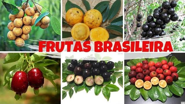11 Espécies De Frutas Nativas Do Brasil