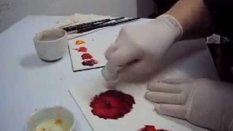 Pintando Rosas com Lourdes Silva(passo a passo da rosa vermelha