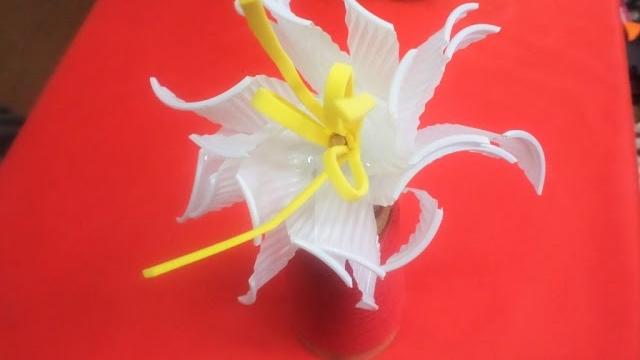 Flor de Copinho de Café por Flores e Flores