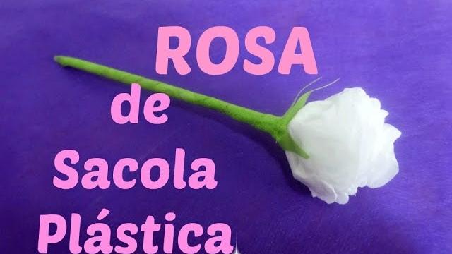 Rosa de Sacola Plástica por Flores e Flores