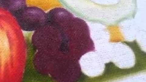 Pintura em tecido pintando uvas