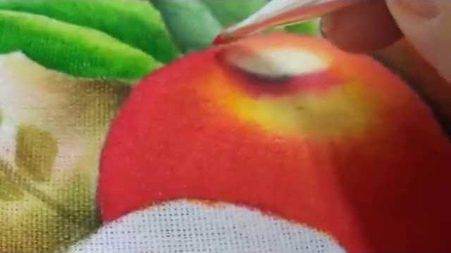Pintura em tecido maçã 1