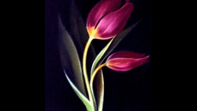 Pintando tulipas de cores variadas