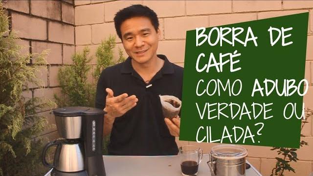Borra de Café como Adubo – É Bom ou é Cilada?
