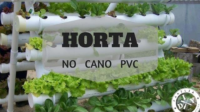 Horta de Alface no Cano PVC