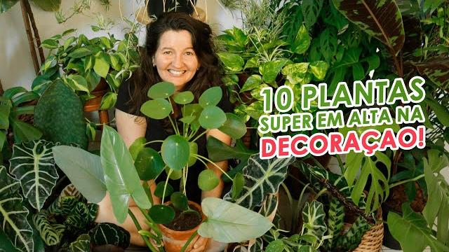 10 Plantas que estão Super em Alta na Decoração