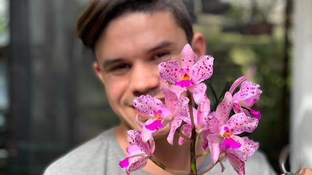 Orquídeas não Precisam de Adubos