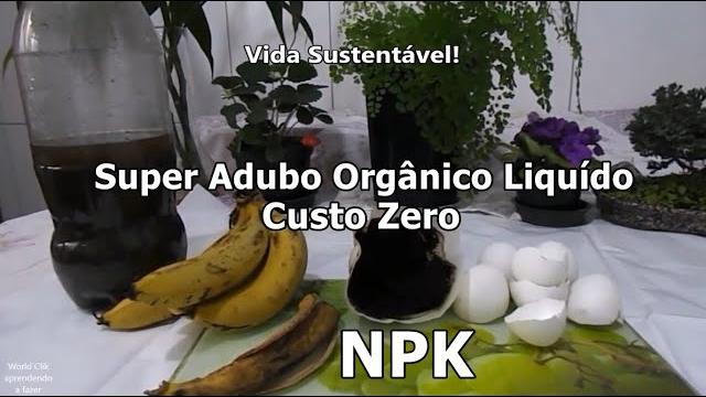Super Adubo Orgânico Liquido Reaproveitando Resíduos de Alimentos