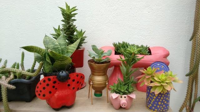 Plantas Lindas em Vasos Recicláveis – Aprenda a Reutilizar