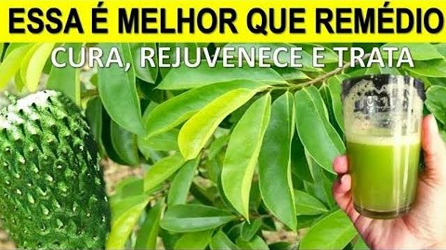 5 Folhas Poderosas Para Sua Saúde