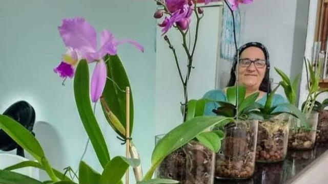 Descubra Como Plantar Orquídeas no Vidro