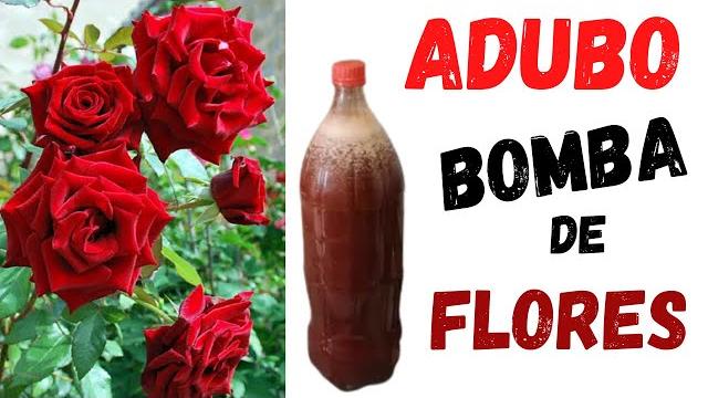 Bomba de Flores Para Roseiras – Adubo Caseiro