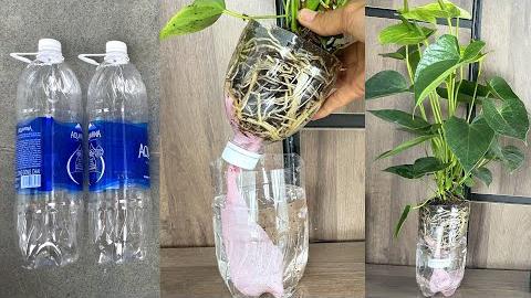 Como Fazer Vasos de Flores de Garrafas Plásticas sem Regar