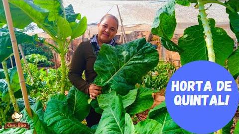 Horta de Quintal – Dicas pra ter Verduras Bonitas