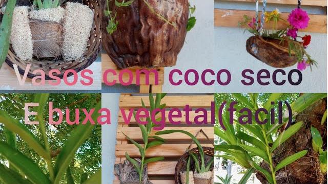 4 Ideias Perfeitas de Vasos com Coco Seco e Buxa Vegetal